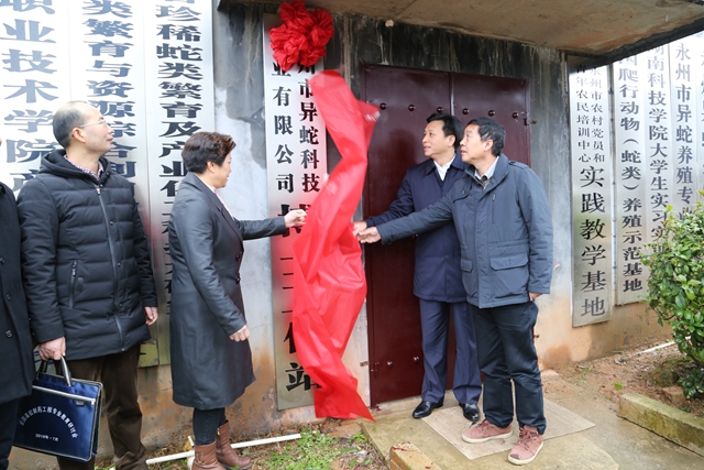 �����׌á��˲Ź����ա� �˲��R�ە�Մ�l(f��)չ